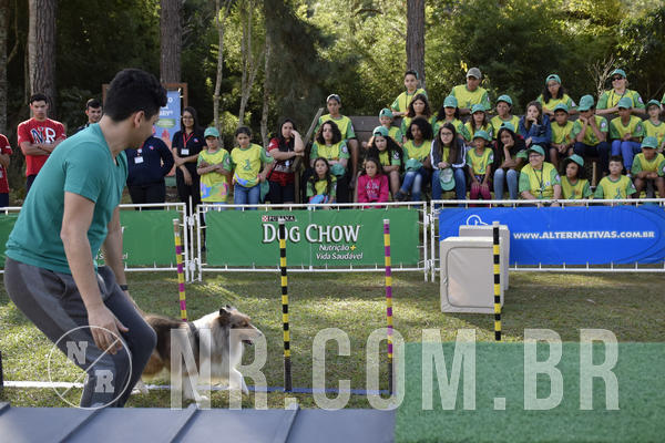 Buy your photos of the eventNR 1 - Cl�ssico  30 A 03/07/19 on Fotop