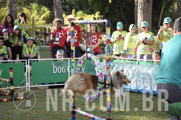 Buy your photos of the eventNR 1 - Cl�ssico  30 A 03/07/19 on Fotop