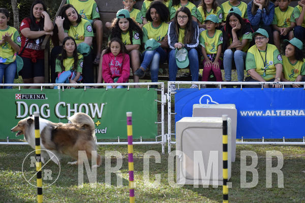 Buy your photos of the eventNR 1 - Cl�ssico  30 A 03/07/19 on Fotop