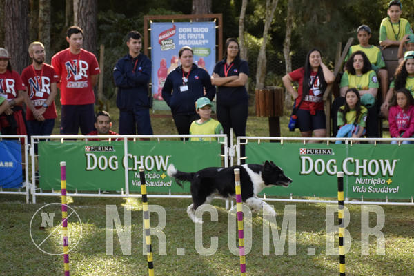 Buy your photos of the eventNR 1 - Cl�ssico  30 A 03/07/19 on Fotop