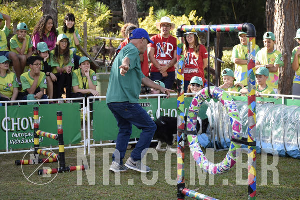 Buy your photos of the eventNR 1 - Cl�ssico  30 A 03/07/19 on Fotop