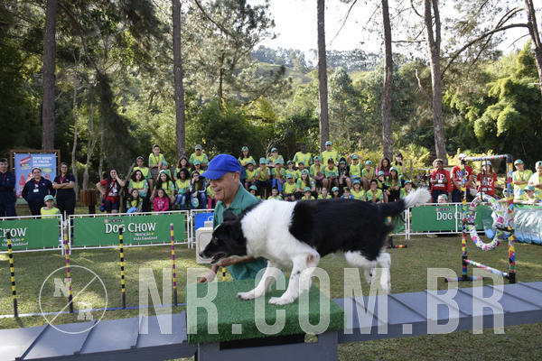 Buy your photos of the eventNR 1 - Cl�ssico  30 A 03/07/19 on Fotop