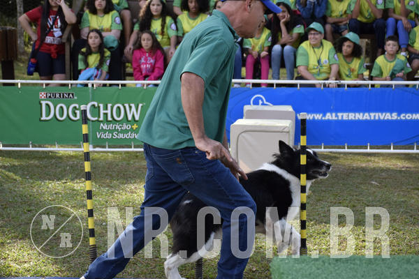 Buy your photos of the eventNR 1 - Cl�ssico  30 A 03/07/19 on Fotop