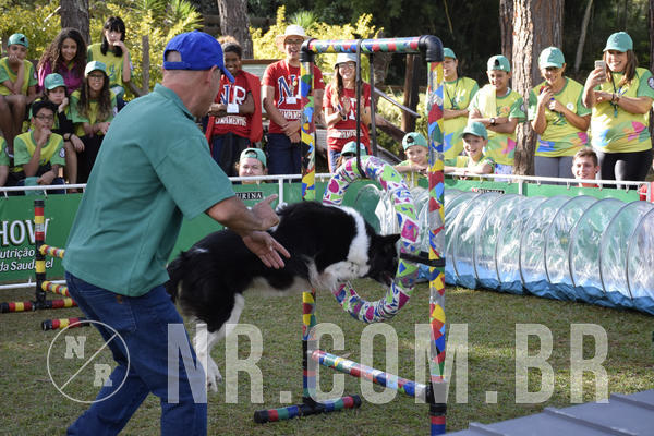 Buy your photos of the eventNR 1 - Cl�ssico  30 A 03/07/19 on Fotop