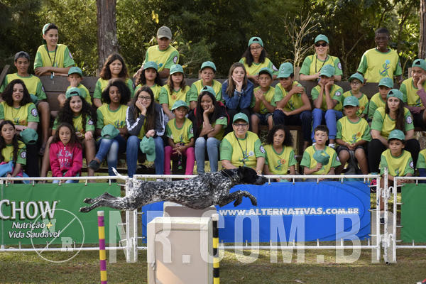 Buy your photos of the eventNR 1 - Cl�ssico  30 A 03/07/19 on Fotop