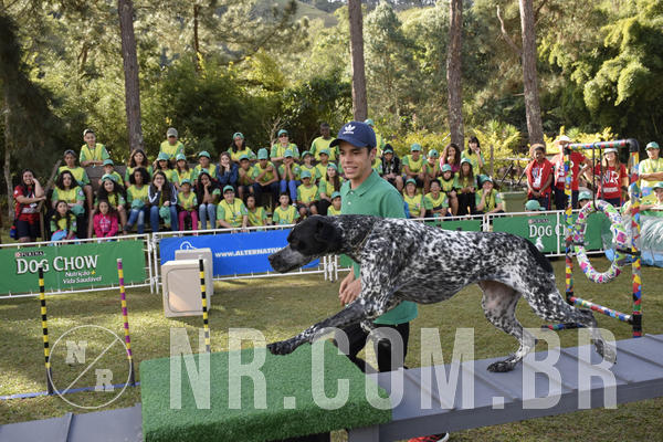 Buy your photos of the eventNR 1 - Cl�ssico  30 A 03/07/19 on Fotop