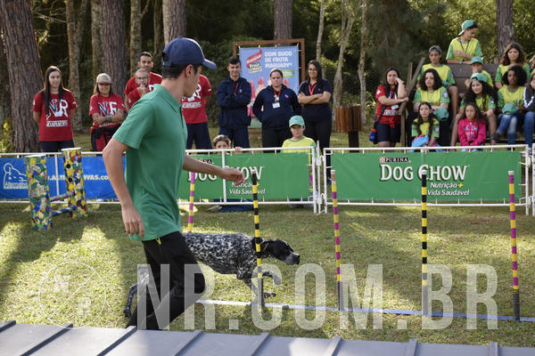 Buy your photos of the eventNR 1 - Cl�ssico  30 A 03/07/19 on Fotop