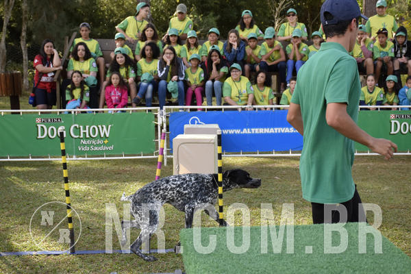 Buy your photos of the eventNR 1 - Cl�ssico  30 A 03/07/19 on Fotop