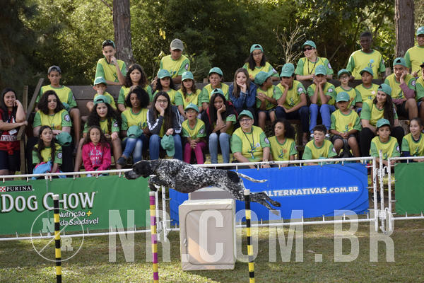 Buy your photos of the eventNR 1 - Cl�ssico  30 A 03/07/19 on Fotop