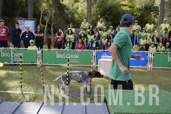 Buy your photos of the eventNR 1 - Cl�ssico  30 A 03/07/19 on Fotop