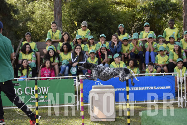 Buy your photos of the eventNR 1 - Cl�ssico  30 A 03/07/19 on Fotop