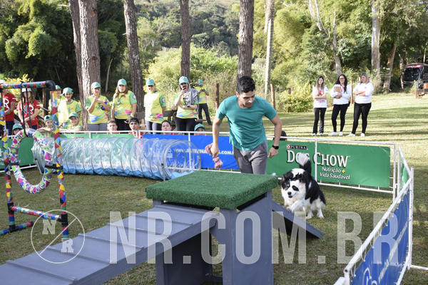 Buy your photos of the eventNR 1 - Cl�ssico  30 A 03/07/19 on Fotop