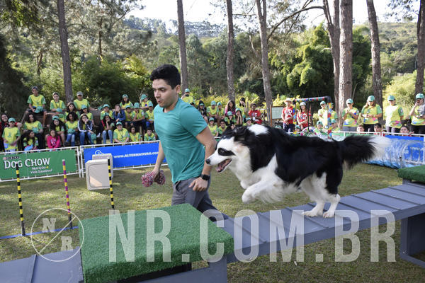 Buy your photos of the eventNR 1 - Cl�ssico  30 A 03/07/19 on Fotop