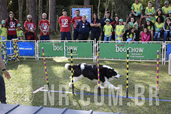 Buy your photos of the eventNR 1 - Cl�ssico  30 A 03/07/19 on Fotop