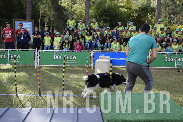 Buy your photos of the eventNR 1 - Cl�ssico  30 A 03/07/19 on Fotop