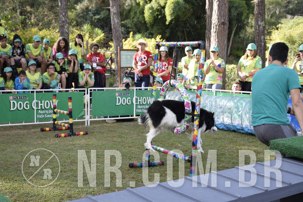 Buy your photos of the eventNR 1 - Cl�ssico  30 A 03/07/19 on Fotop