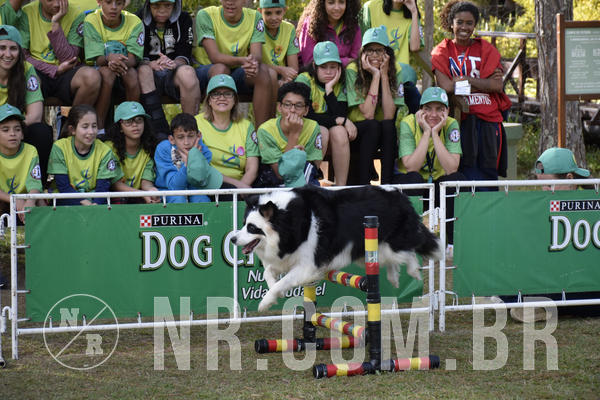 Buy your photos of the eventNR 1 - Cl�ssico  30 A 03/07/19 on Fotop