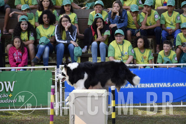 Buy your photos of the eventNR 1 - Cl�ssico  30 A 03/07/19 on Fotop