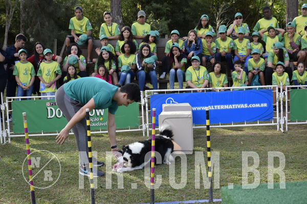 Buy your photos of the eventNR 1 - Cl�ssico  30 A 03/07/19 on Fotop