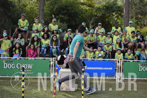 Buy your photos of the eventNR 1 - Cl�ssico  30 A 03/07/19 on Fotop