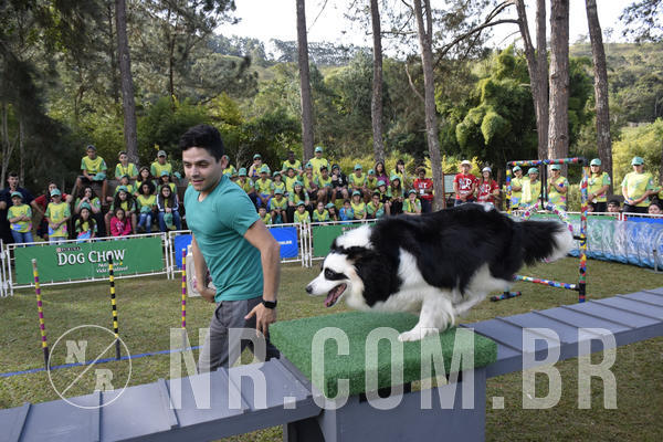 Buy your photos of the eventNR 1 - Cl�ssico  30 A 03/07/19 on Fotop