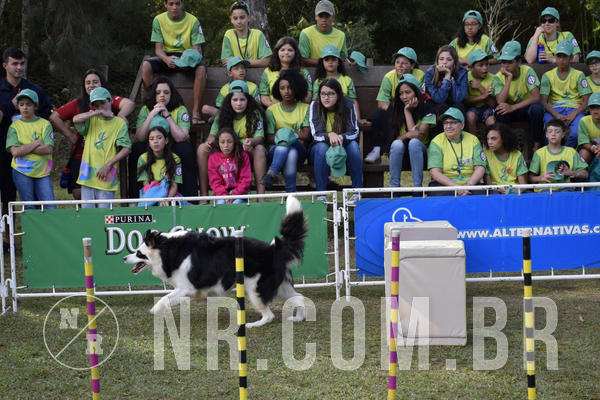 Buy your photos of the eventNR 1 - Cl�ssico  30 A 03/07/19 on Fotop