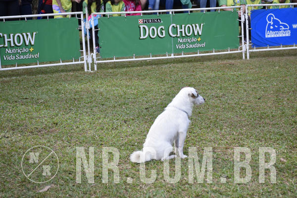 Buy your photos of the eventNR 1 - Cl�ssico  30 A 03/07/19 on Fotop