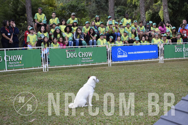 Buy your photos of the eventNR 1 - Cl�ssico  30 A 03/07/19 on Fotop