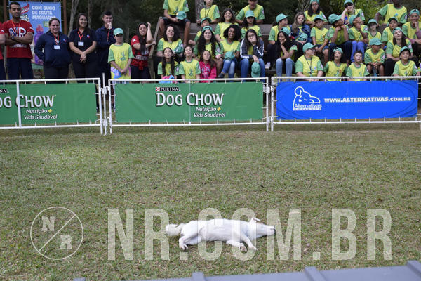 Buy your photos of the eventNR 1 - Cl�ssico  30 A 03/07/19 on Fotop