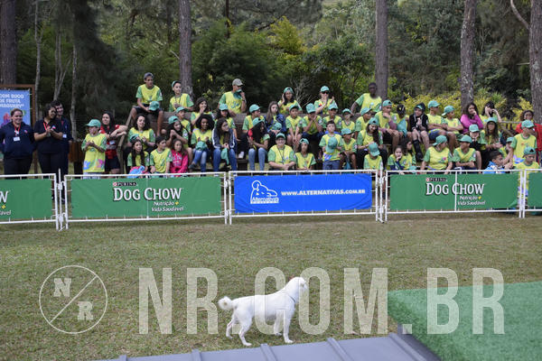 Buy your photos of the eventNR 1 - Cl�ssico  30 A 03/07/19 on Fotop