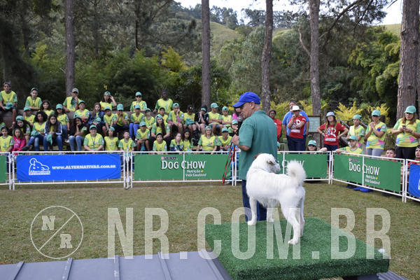 Buy your photos of the eventNR 1 - Cl�ssico  30 A 03/07/19 on Fotop