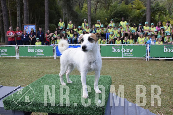 Buy your photos of the eventNR 1 - Cl�ssico  30 A 03/07/19 on Fotop