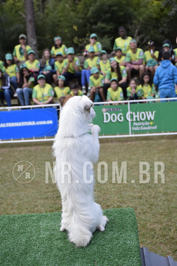 Buy your photos of the eventNR 1 - Cl�ssico  30 A 03/07/19 on Fotop