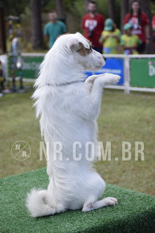 Buy your photos of the eventNR 1 - Cl�ssico  30 A 03/07/19 on Fotop