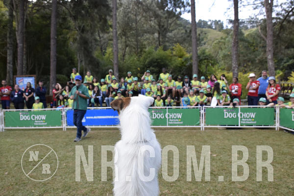 Buy your photos of the eventNR 1 - Cl�ssico  30 A 03/07/19 on Fotop