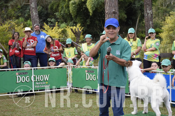 Buy your photos of the eventNR 1 - Cl�ssico  30 A 03/07/19 on Fotop