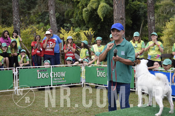 Buy your photos of the eventNR 1 - Cl�ssico  30 A 03/07/19 on Fotop