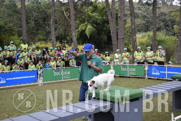 Buy your photos of the eventNR 1 - Cl�ssico  30 A 03/07/19 on Fotop