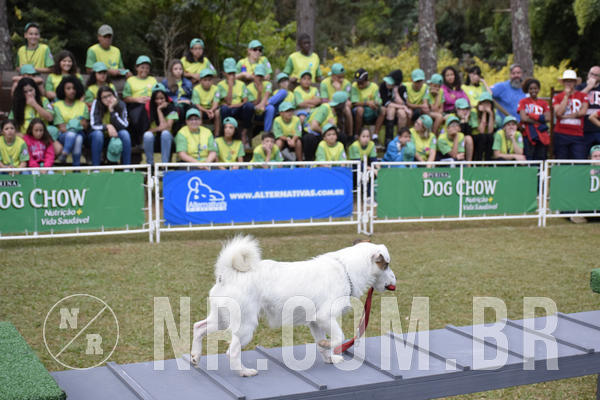 Buy your photos of the eventNR 1 - Cl�ssico  30 A 03/07/19 on Fotop