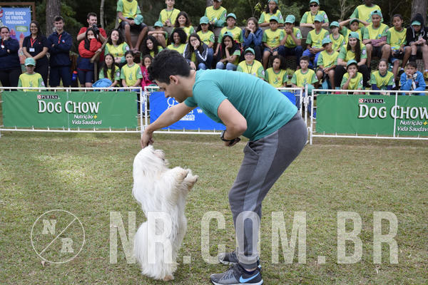 Buy your photos of the eventNR 1 - Cl�ssico  30 A 03/07/19 on Fotop