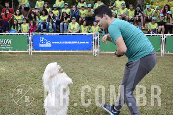 Buy your photos of the eventNR 1 - Cl�ssico  30 A 03/07/19 on Fotop