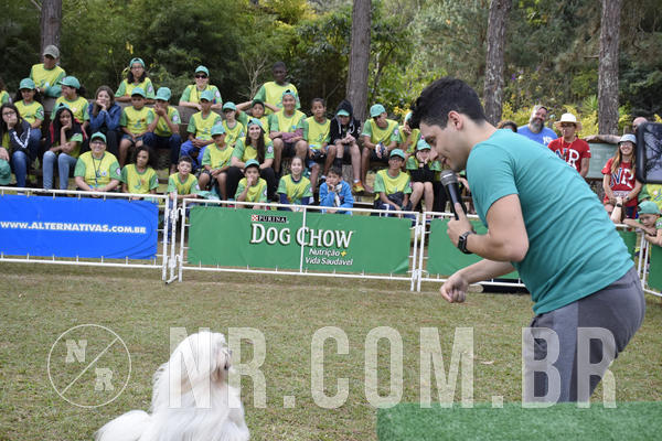 Buy your photos of the eventNR 1 - Cl�ssico  30 A 03/07/19 on Fotop