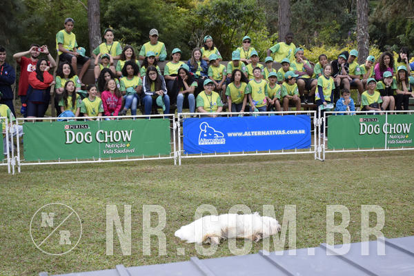 Buy your photos of the eventNR 1 - Cl�ssico  30 A 03/07/19 on Fotop