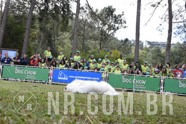 Buy your photos of the eventNR 1 - Cl�ssico  30 A 03/07/19 on Fotop