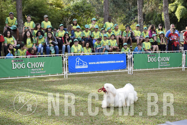 Buy your photos of the eventNR 1 - Cl�ssico  30 A 03/07/19 on Fotop