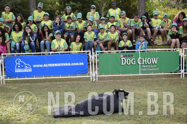 Buy your photos of the eventNR 1 - Cl�ssico  30 A 03/07/19 on Fotop