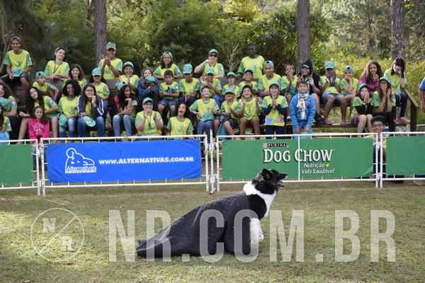 Buy your photos of the eventNR 1 - Cl�ssico  30 A 03/07/19 on Fotop