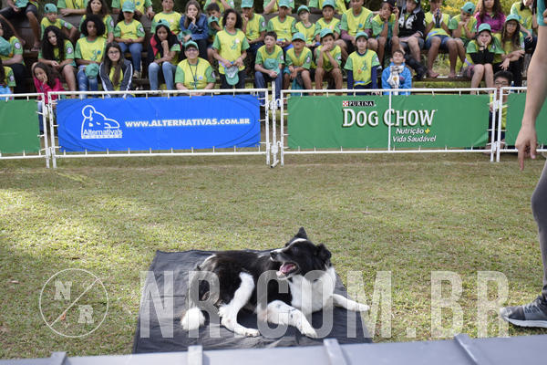 Buy your photos of the eventNR 1 - Cl�ssico  30 A 03/07/19 on Fotop