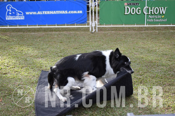 Buy your photos of the eventNR 1 - Cl�ssico  30 A 03/07/19 on Fotop