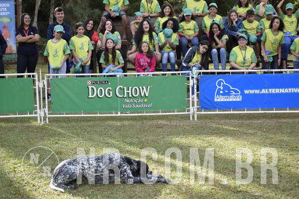 Buy your photos of the eventNR 1 - Cl�ssico  30 A 03/07/19 on Fotop